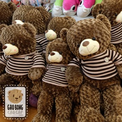 Gấu bông Teddy áo len Choco Gấu bông Teddy áo len Choco Gấu bông Teddy áo len Choco Gấu bông Teddy áo len Choco  Gấu bông Teddy áo len Choco Gấu bông Teddy áo len Choco Gấu bông Teddy áo len Choco Gấu bông Teddy áo len Choco Gấu bông Teddy áo len Choco Gấu bông Teddy áo len Choco